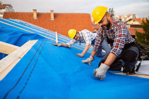Best Commercial Roof Installation  in Dresden, OH