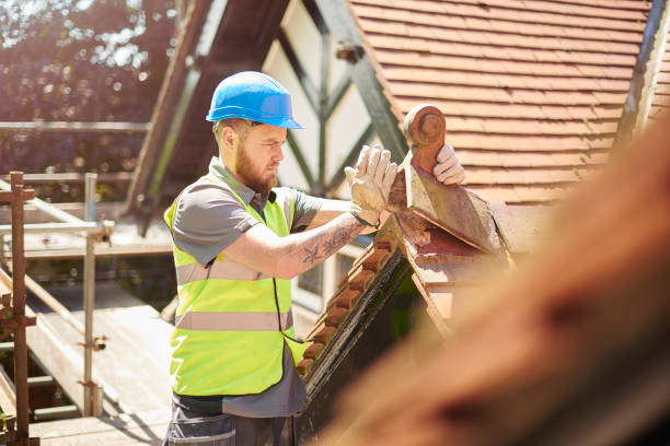Best New Roof Installation  in Dresden, OH